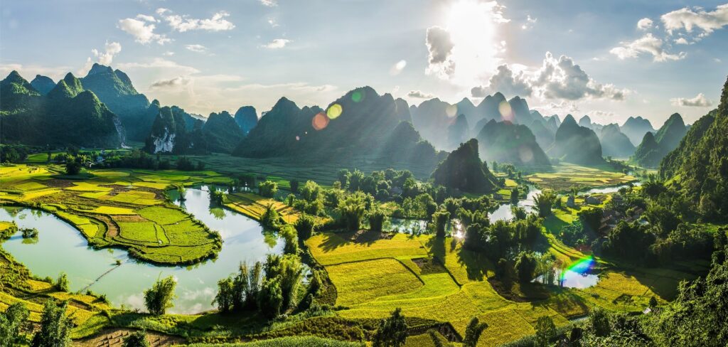 weed in Cao Bang