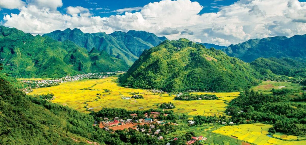 weed in Hoa Binh