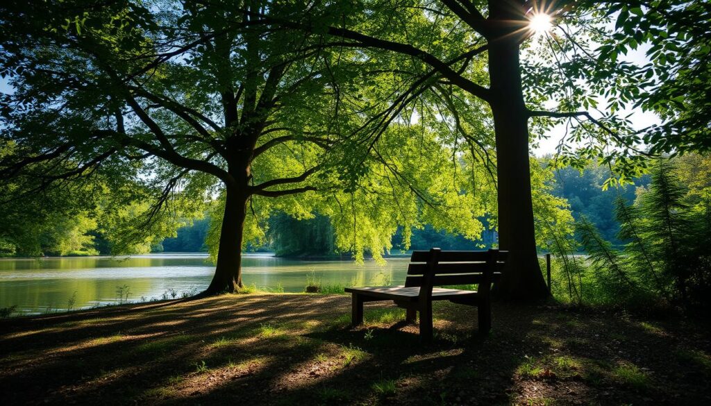 Scenic cannabis smoking spots in Baden